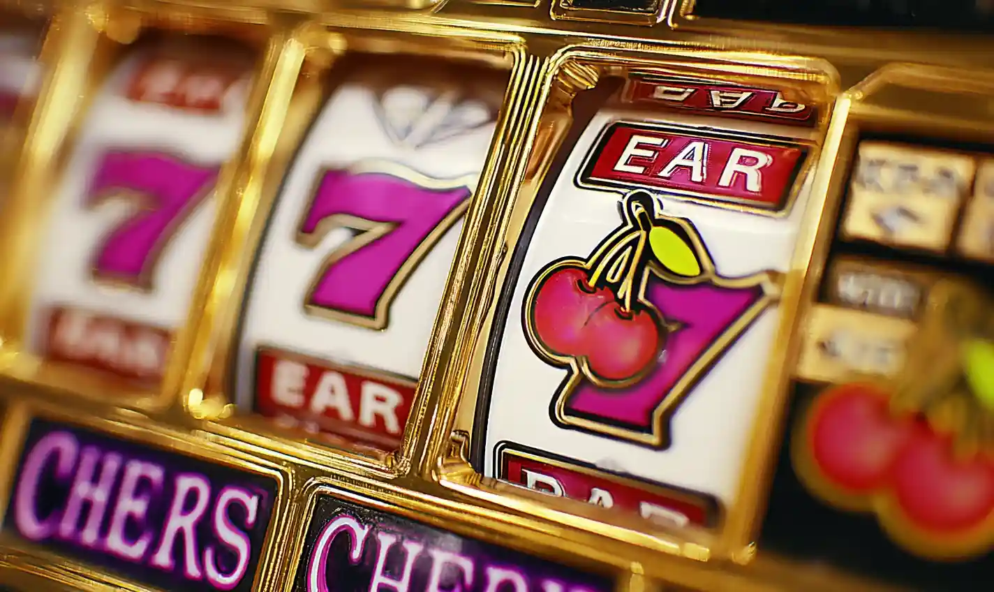 winlive4d slot gacor